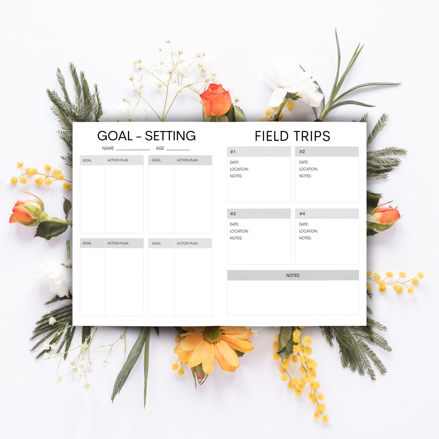 Goal Setting and Field Trips spread
